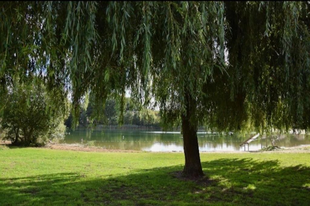 Heerlijk Huys, Vakantievilla Met Prive Tuin Ewijk エクステリア 写真